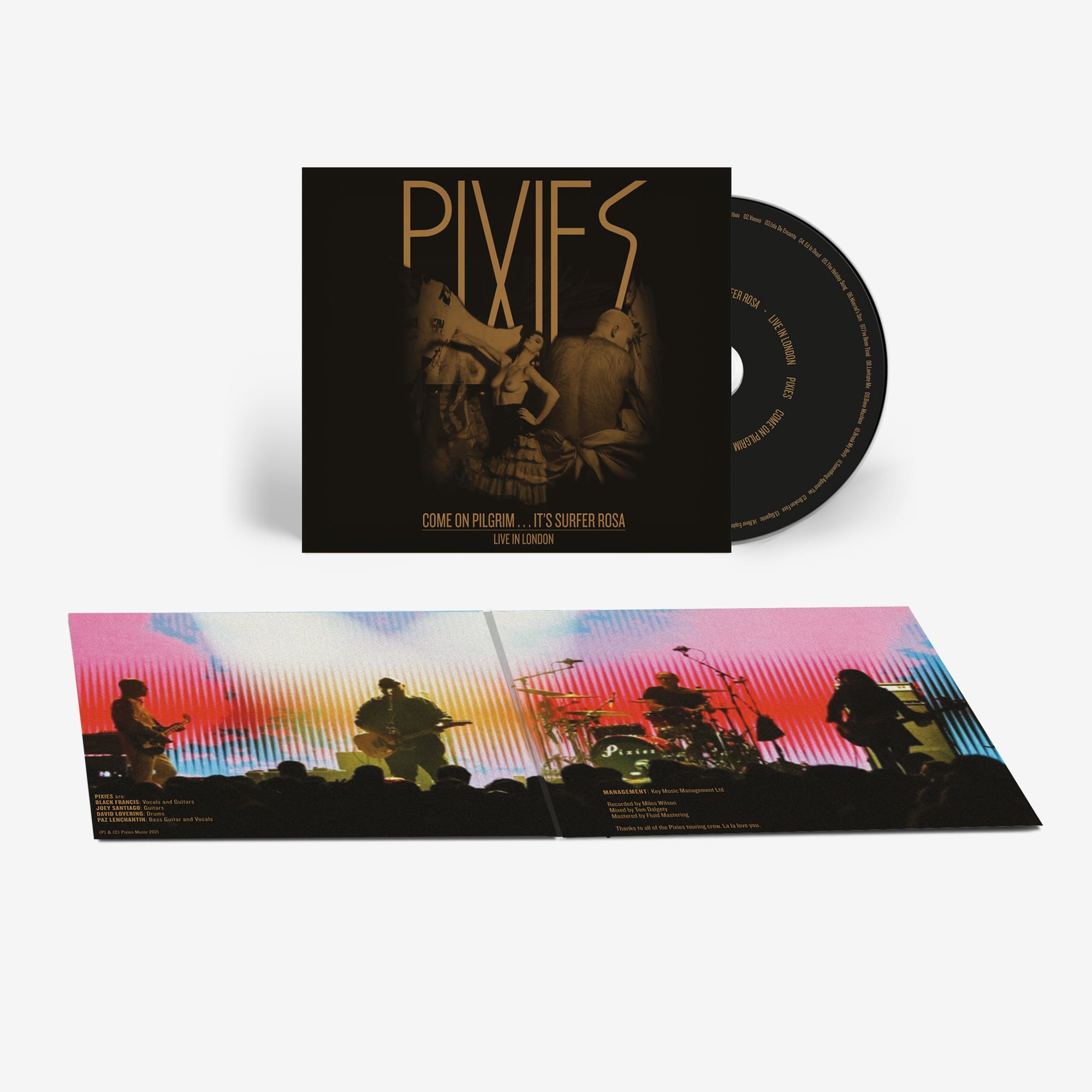 Pixies Come On Pilgrim It's Surfer Rosa Vinyl