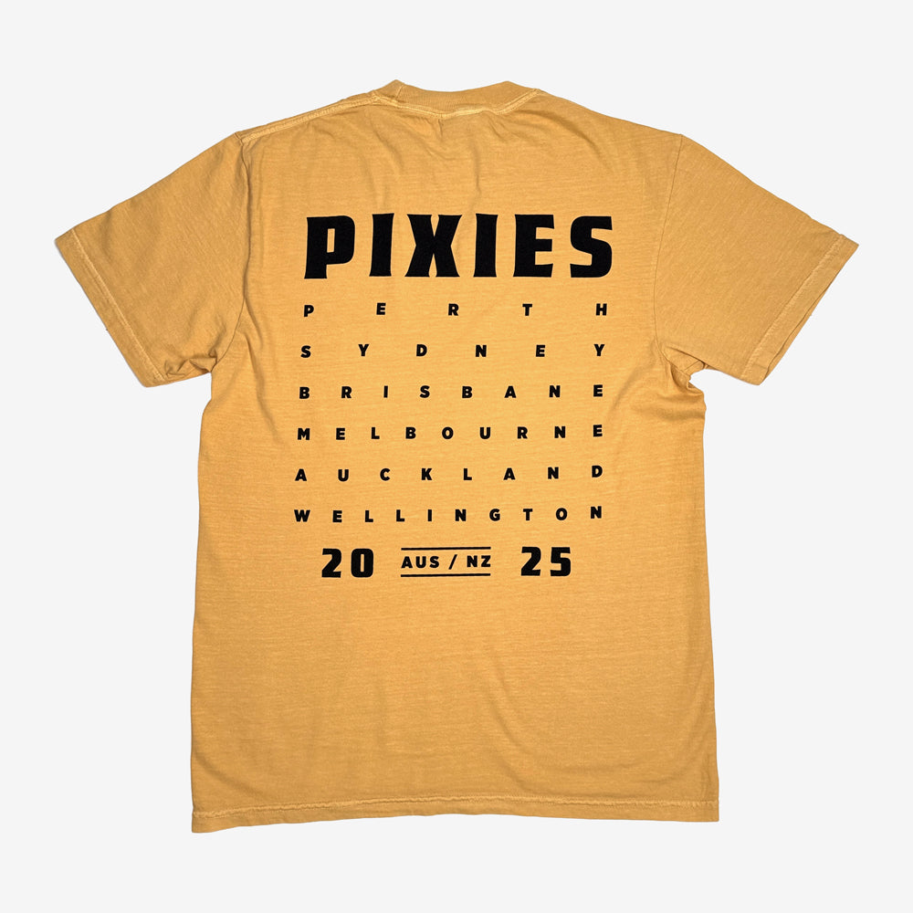 Maglietta Da Uomo PIXIES - HEAD CARRIER - GRIGIO - PLASTIC HEAD - Foto 4